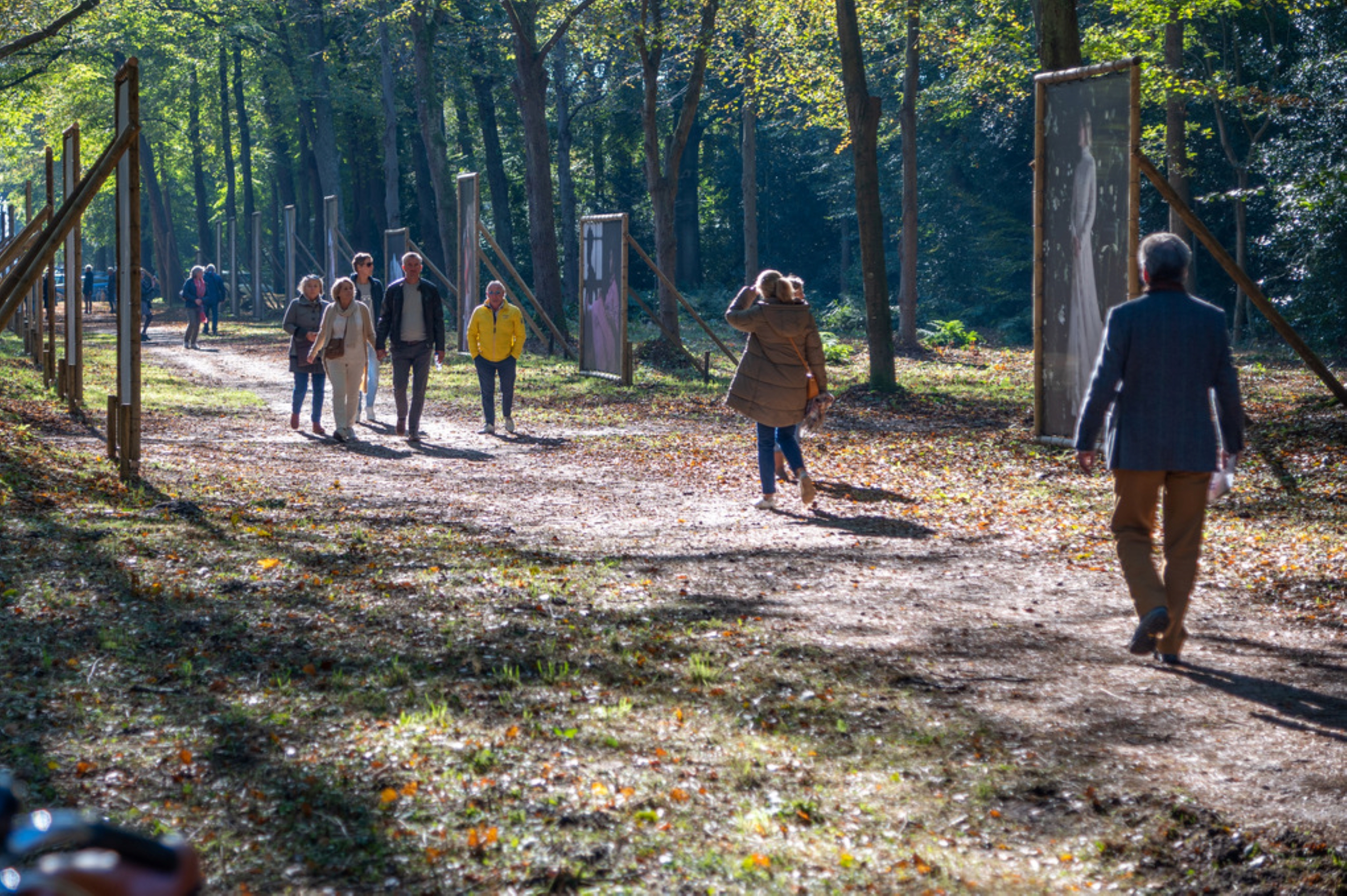 Wandel4daagse bij de Ruïnekerk in Bergen